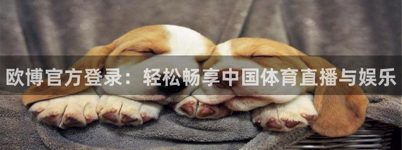 伟德国际19465：欧博官方登录：轻松畅享中国体育直播与娱乐