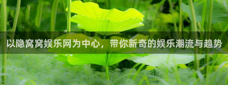 伟德国际1946f凯捷平台在线注册：以隐窝窝娱乐网为中心，带你新奇的娱乐潮流与趋