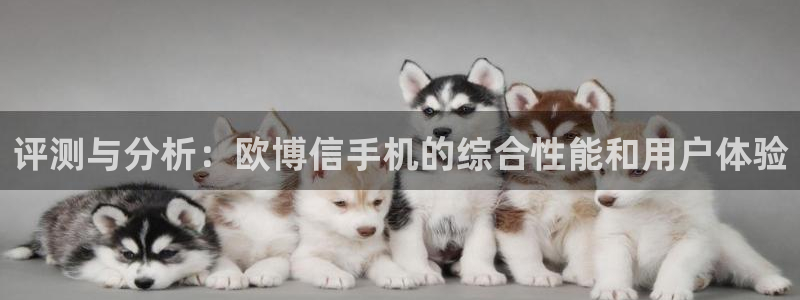 德国伟德国际1946集团：评测与分析：欧博信手机的综合性能和用户体验