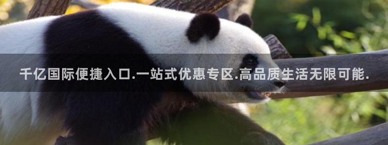 伟德国际19465注册：千亿国际便捷入口.一站式优惠专区.高品质生活无限可能.