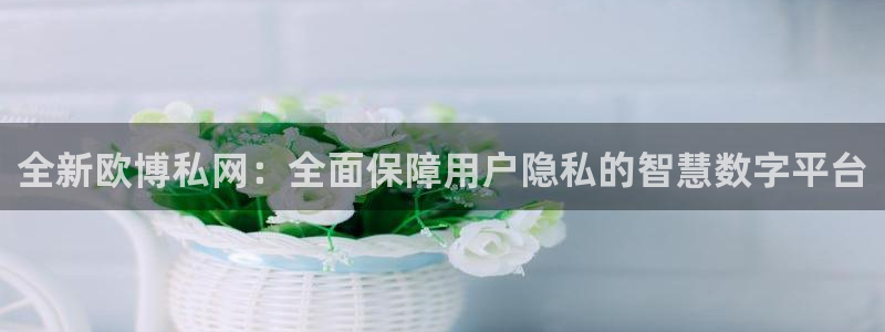 伟德国际1946f凯捷平台在线注册：全新欧博私网：全面保障用户隐私的智慧数字平台