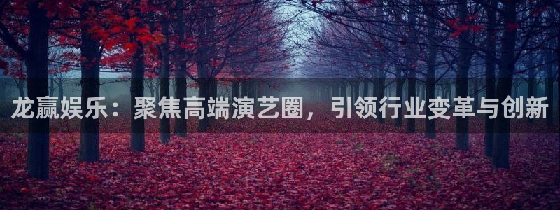 伟德国际1946凯捷开号链接：龙赢娱乐：聚焦高端演艺圈，引领行业变革与创新