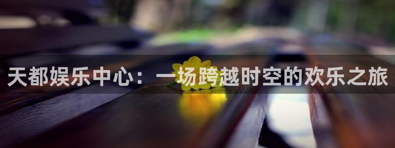 伟德国际1946平台招商：天都娱乐中心：一场跨越时空的欢乐之旅