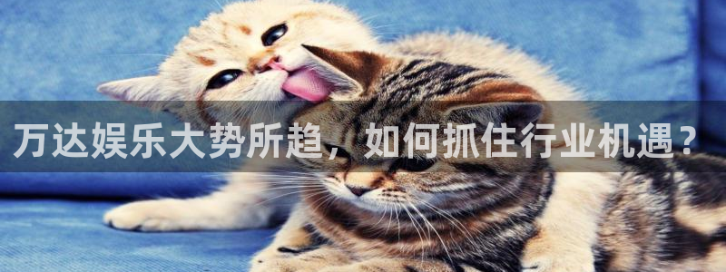 伟德国际1946登录：万达娱乐大势所趋，如何抓住行业机遇？