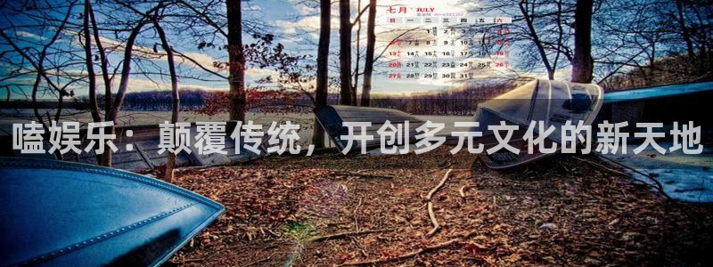 伟德国际1946体育凯捷登陆：嗑娱乐：颠覆传统，开创多元文化的新天地