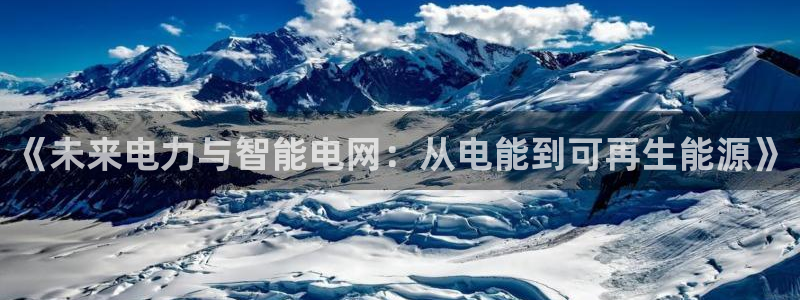 伟德国际19462登录入口：《未来电力与智能电网：从电能到可再生能源》