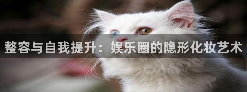 伟德国际1946平台在线注册：整容与自我提升：娱乐圈的隐形化妆艺术
