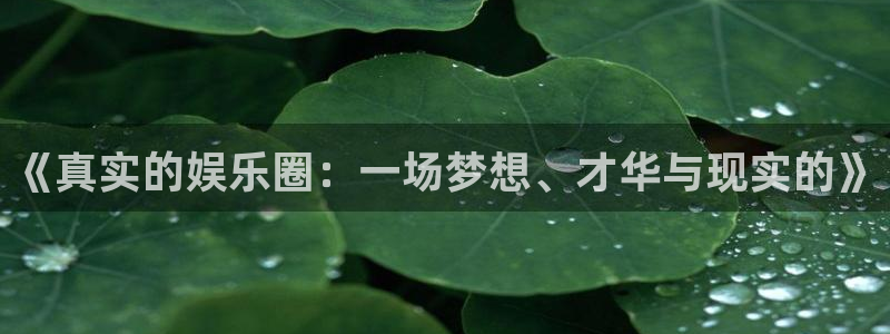 伟德国际1946体育热门赛事有哪些：《真实的娱乐圈：一场梦想、才华与现实的》