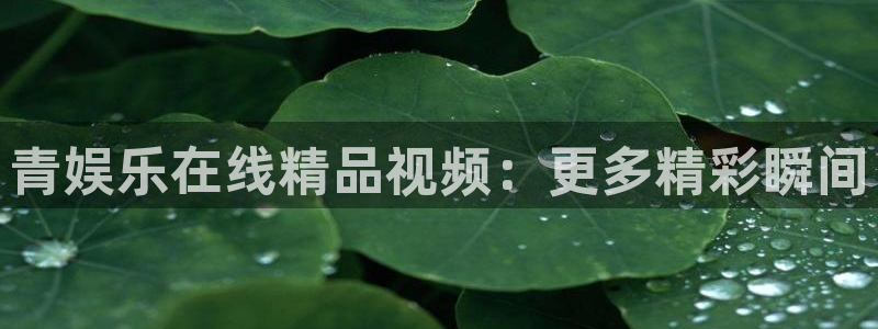 伟德国际1946体育官网登录：青娱乐在线精品视频：更多精彩瞬间