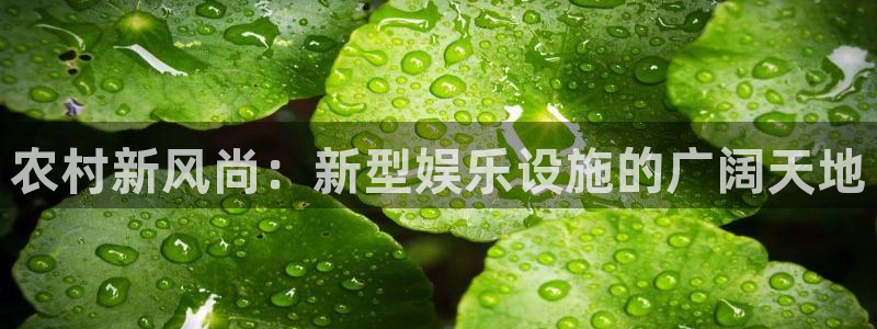 伟德国际1946平台主管：农村新风尚：新型娱乐设施的广阔天地