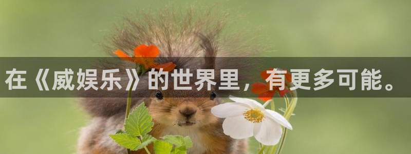 伟德国际1946体育官网入口登录：在《威娱乐》的世界里，有更多可能。