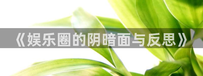 伟德国际1946体育凯捷登陆：《娱乐圈的阴暗面与反思》