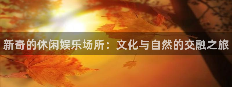 伟德国际1946凯捷开号链接：新奇的休闲娱乐场所：文化与自然的交融之旅