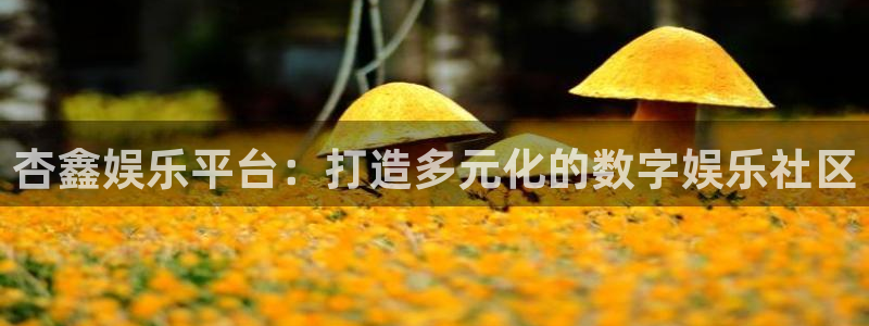 伟德国际1946k：杏鑫娱乐平台：打造多元化的数字娱乐社区