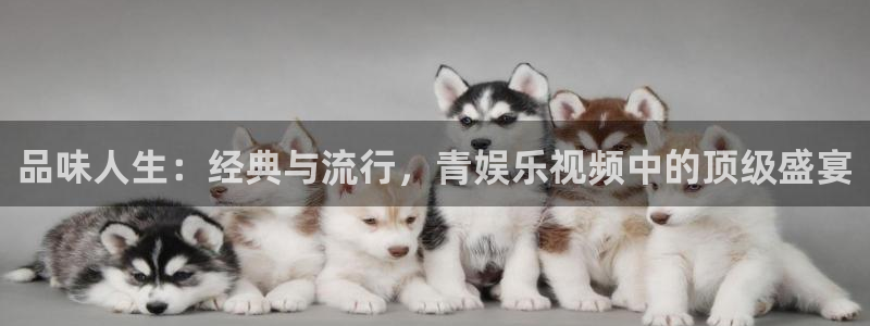 伟德国际1946官网：品味人生：经典与流行，青娱乐视频中的顶级盛宴