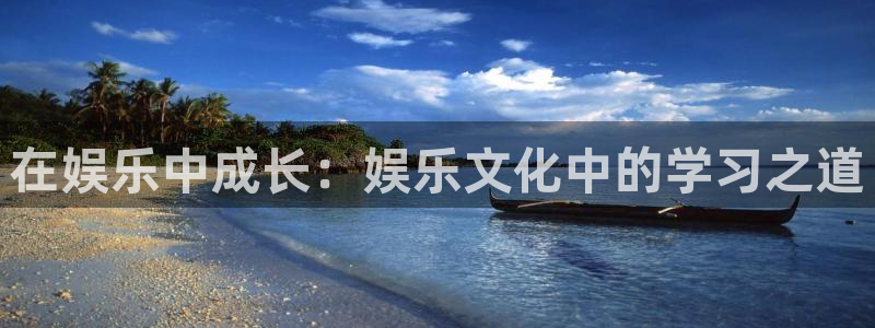 伟德国际1946体育和杏耀是哪个公司的：在娱乐中成长：娱乐文化中的学习之道